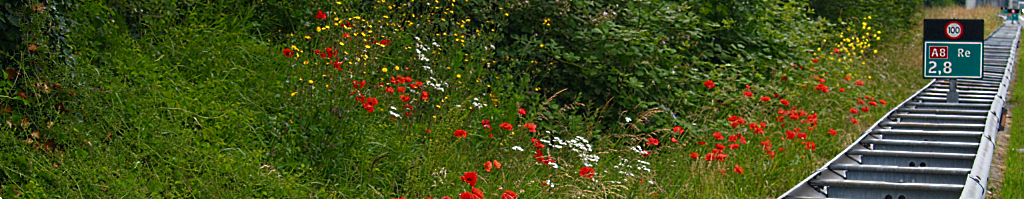 BermBeveiliging Nederland BV